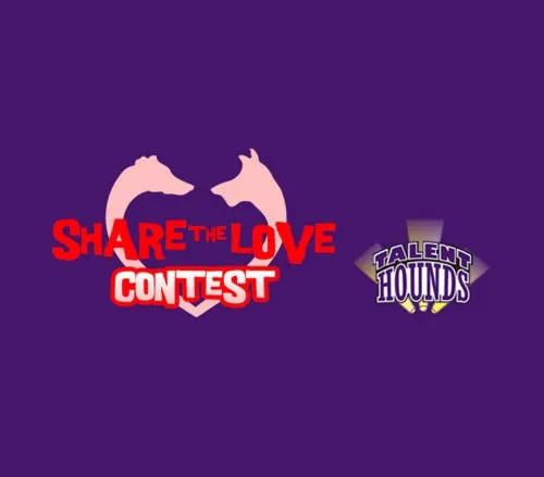 TalentHounds-Contest