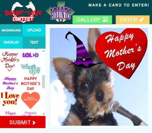 TalentHounds-Contest2